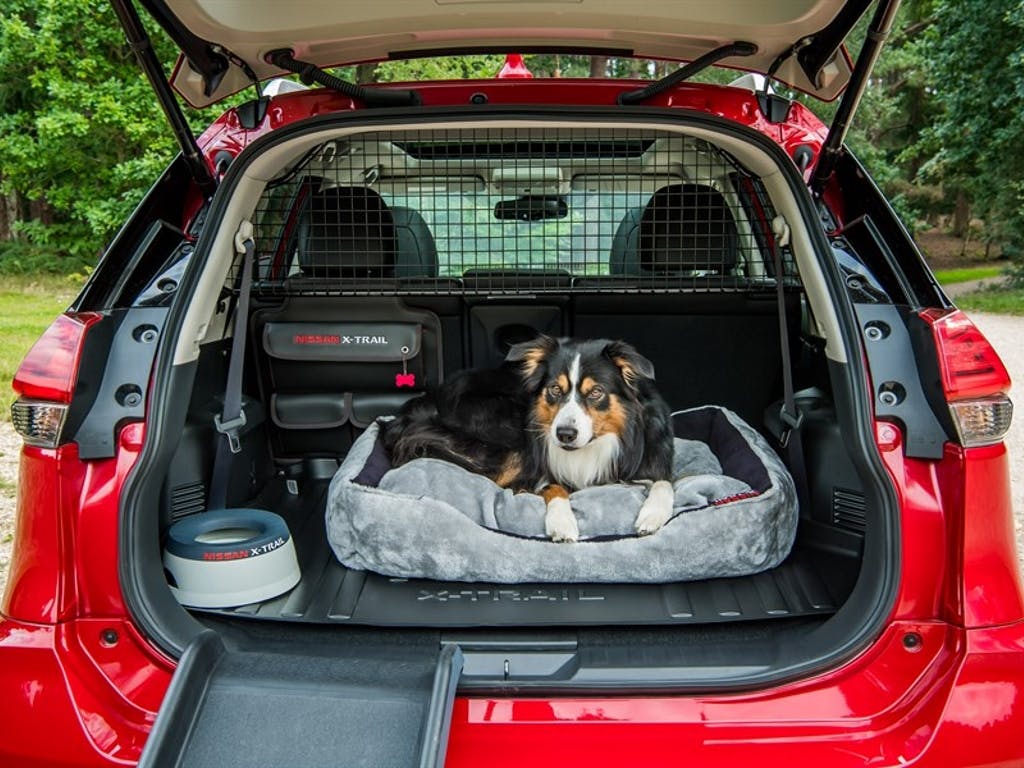 The Paw-Fect New Addition To Your Brand New Nissan X-Trail